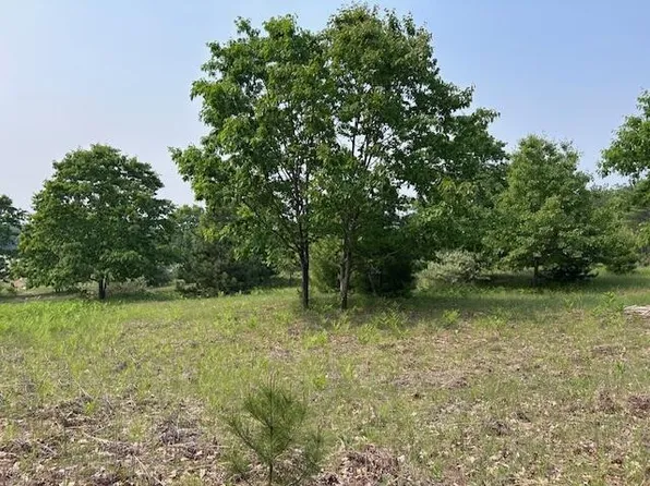 Thiem Rd, Herron, MI 49744