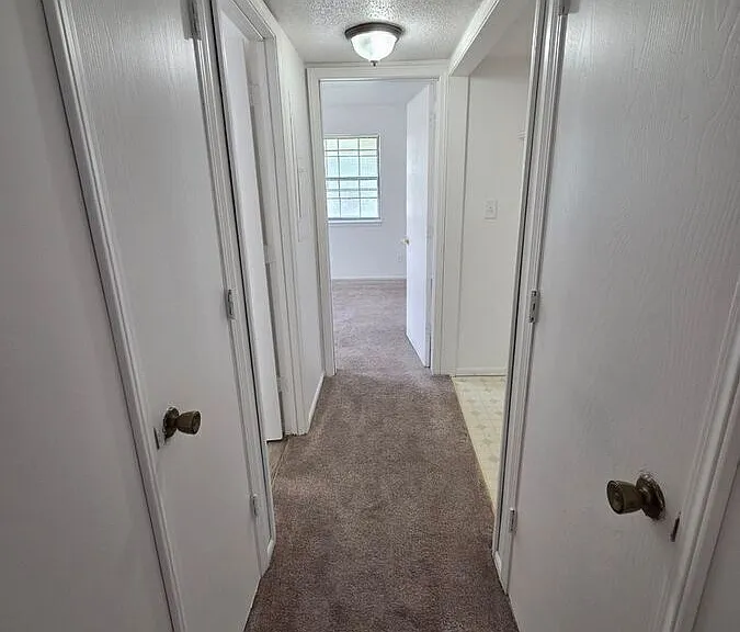 3546 Tudor Dr #D — Photo 19
