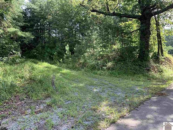 2nd image of 125 Cotton Back Rd