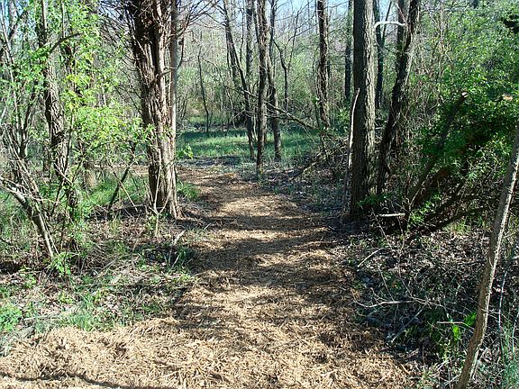 Trails