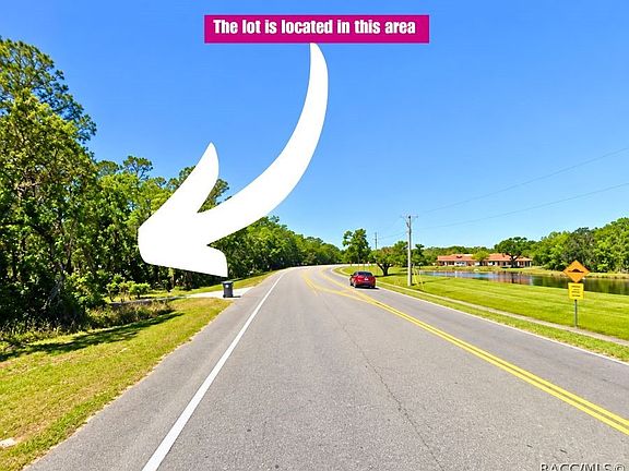 3rd image of 0 Lithia Pinecrest Rd