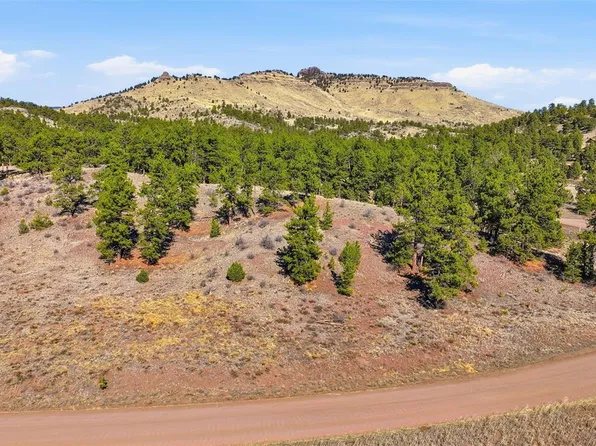 50 Stage Coach Road LOT 9, Guffey, CO 80820