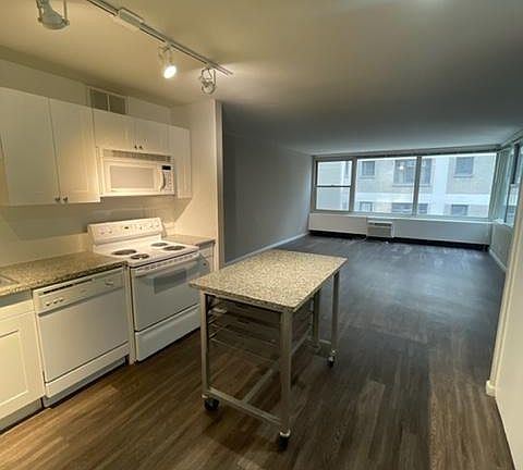 4th image of 227 E Delaware Pl #1504