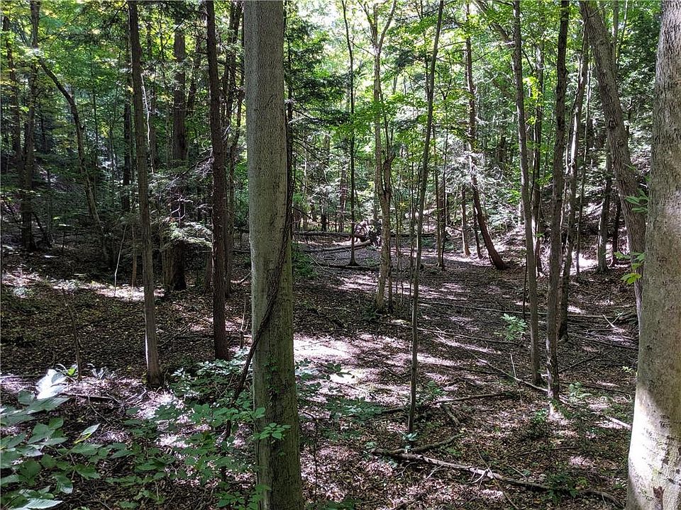 2nd image of 7395 Hawley Rd