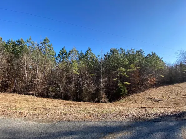 6 Martin Rd, Reagan, TN 38368