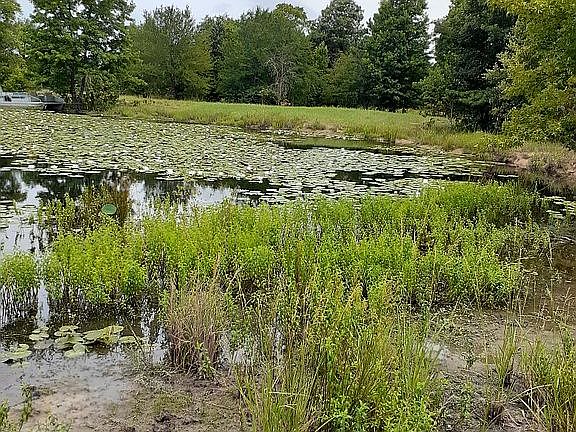 5th image of 390 Vz County Road 4614
