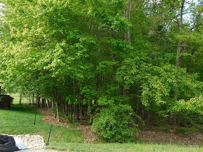 1st image of 29 Inwood Dr