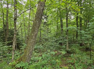 0 William Ernst Rd #3, West Leyden, NY 13489