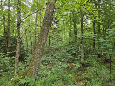 0 William Ernst Rd #3, West Leyden, NY, 13489