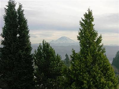 Rainier Mountain View