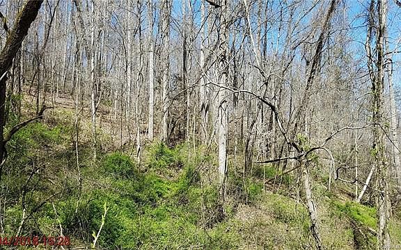 5th image of 00 Hemlock Ln