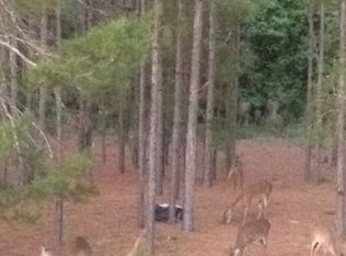 37213 Ranch Rd, Eustis, FL 32736