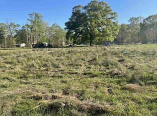 45055 Dena Dixon Ln, Saint Amant, LA 70774