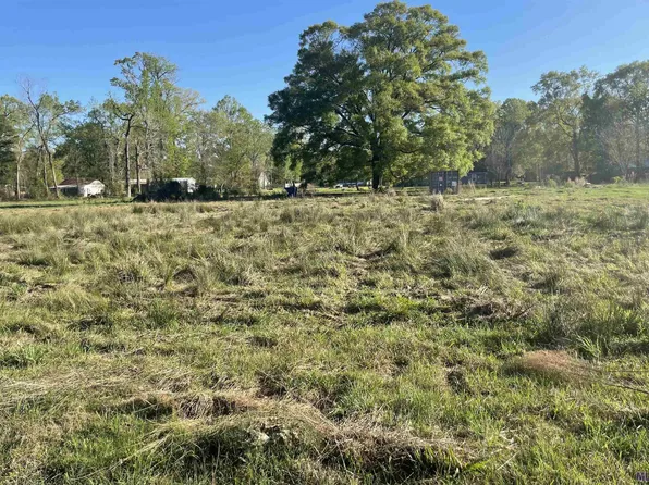 45055 Dena Dixon Ln, Saint Amant, LA 70774