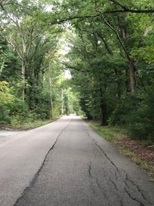 16 Fales Rd, Plainville, MA, 02762