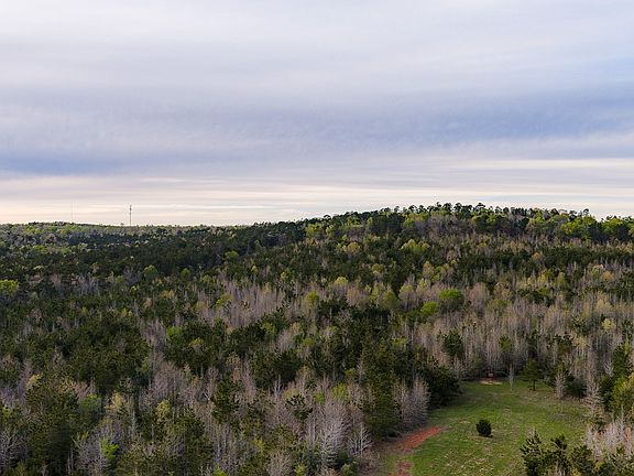 5th image of 0 Off Of County Rd #839