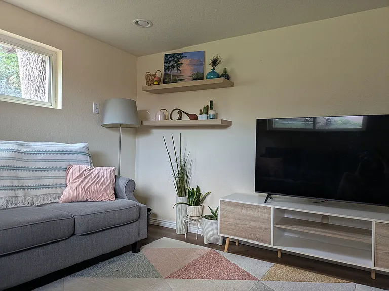 downstairs family room