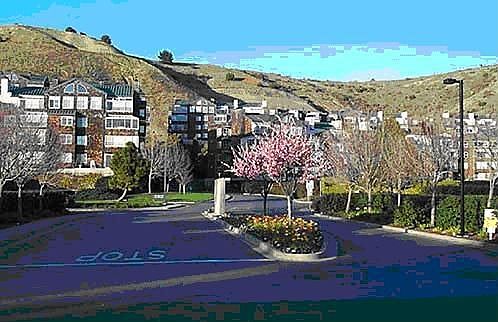 View of condo complex from the street.