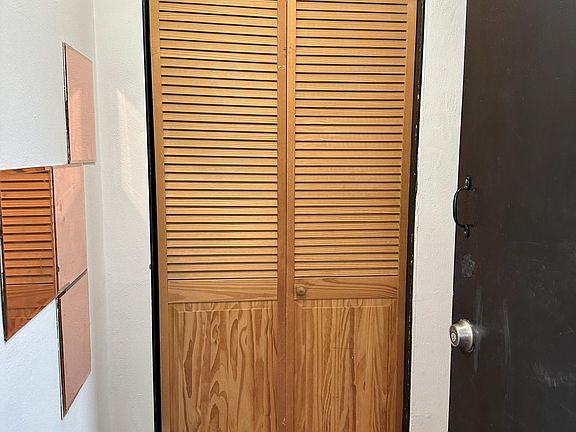 Entry Hall Closet