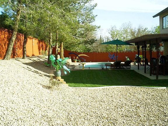 back yard