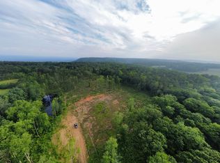 4359 Chandler Mountain Rd, Steele, AL 35987