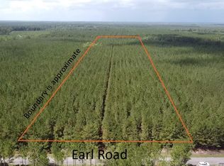 Tract B Earle Rd., Andrews, SC 29510