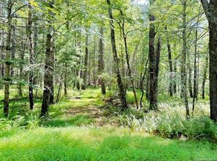 Lot 3.18 Fish Cabin Road, Glen Spey, NY 12737