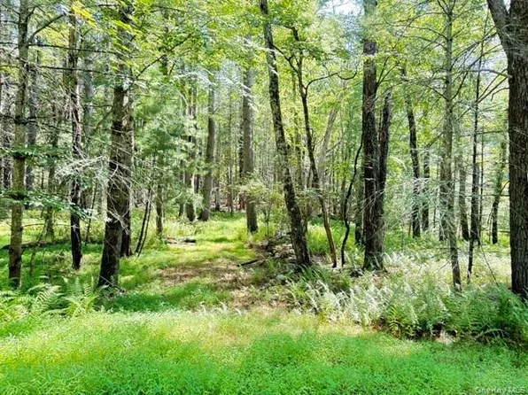 Lot 3.18 Fish Cabin Road, Glen Spey, NY 12737