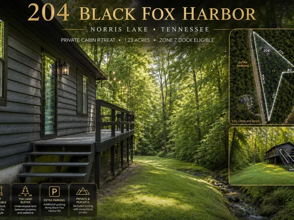 204 Black Fox Hbr, Washburn, TN 37888