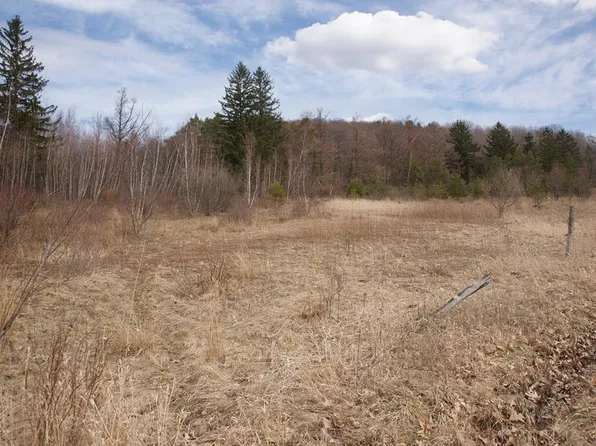 0 Holly Hill Rd, Dushore, PA 18614