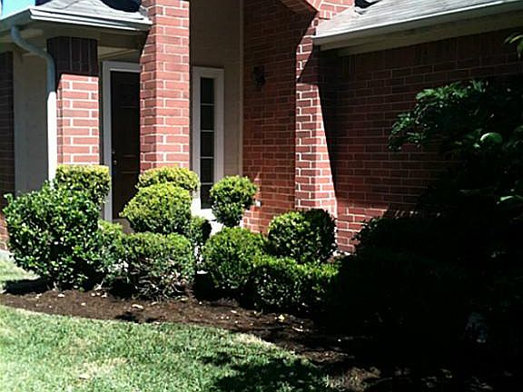 2nd image of 19634 Cypress Bough Dr