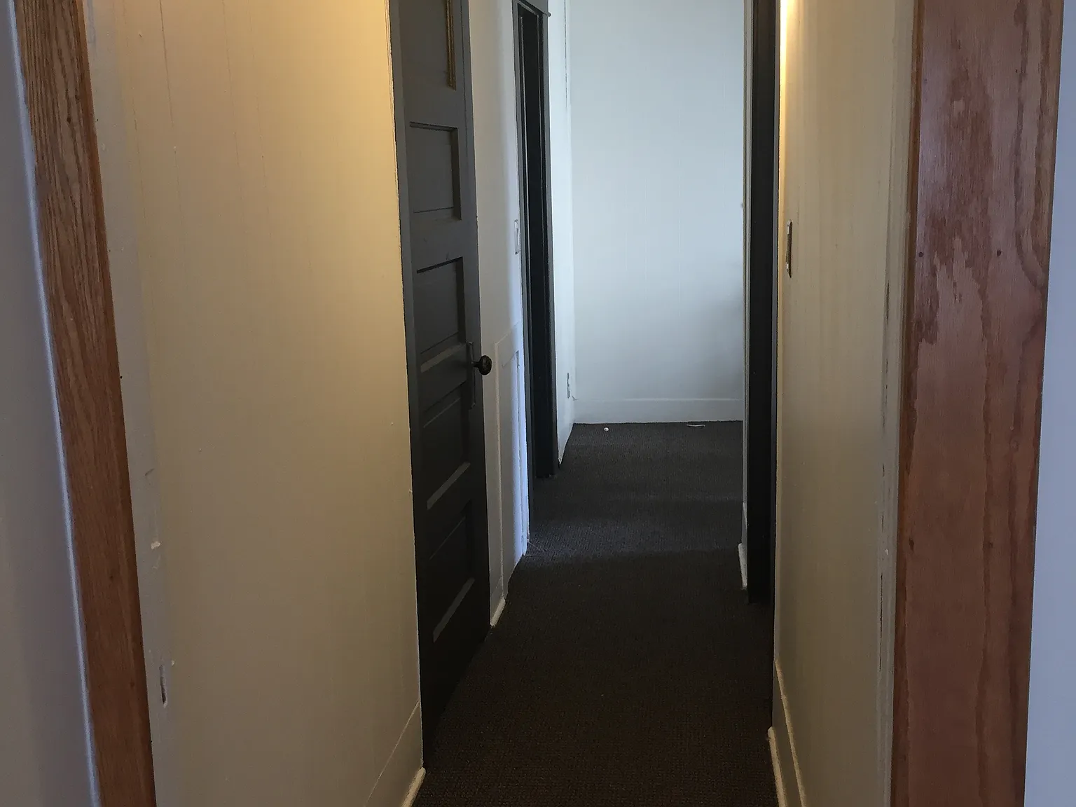 1 bed, 615 sqft, $1,800 — Photo 4