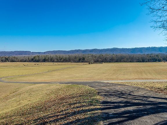 72nd image of 10245 Snow Hill Rd