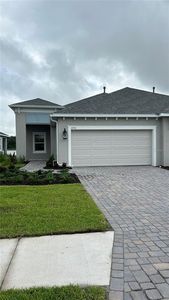 11734 Great Brook Ln, Parrish, FL, 34219