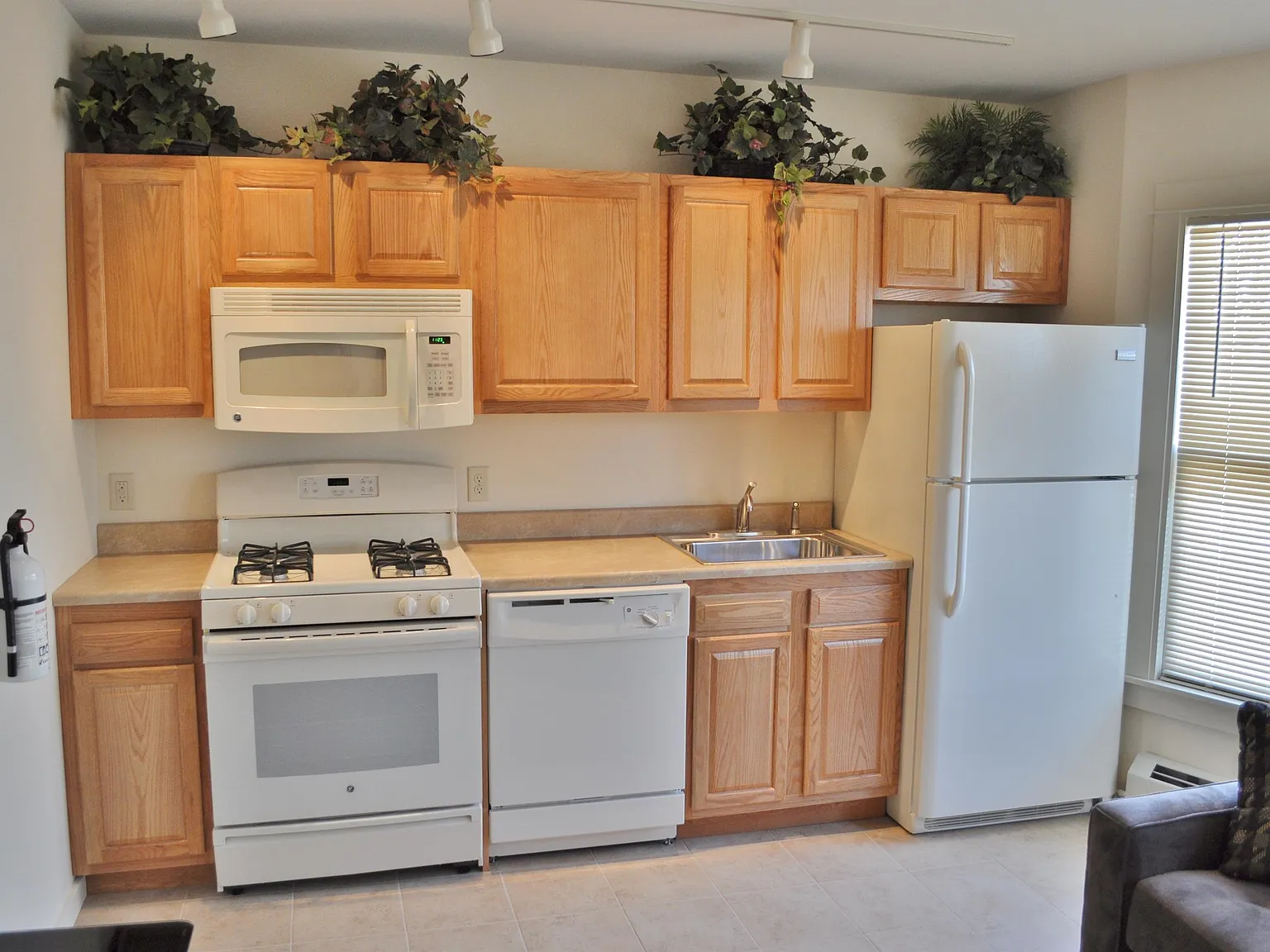 203 Williams Street - 4 — Photo 3
