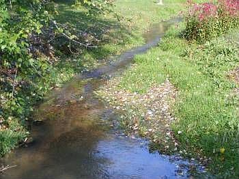 2nd image of 1897 Needmore Rd