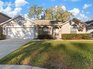 12824 Big Sur Dr, Tampa, FL 33625