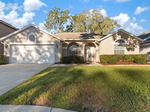 12824 Big Sur Dr, Tampa, FL 33625