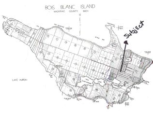 3 Red Wing Drive #SEC. 25, Bois Blanc Island, MI 49775