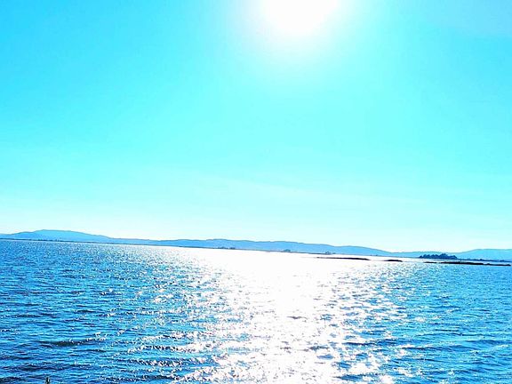 3rd image of 528 Wetlands Edge Rd