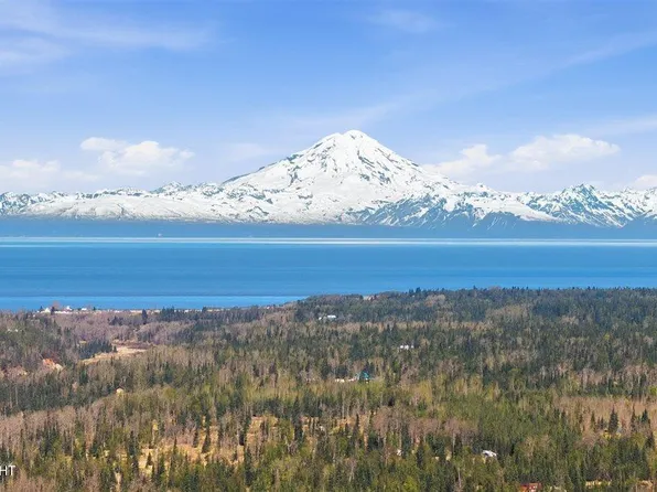 63820 Evergreen Ave, Ninilchik, AK 99639