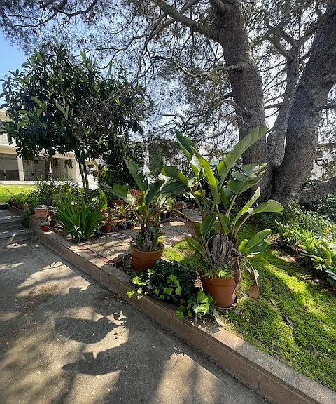 Shared green space to enjoy!