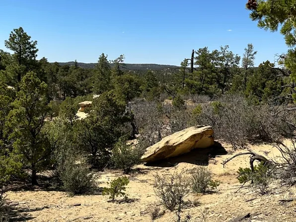 Xx N Ranchero Rd #44, Pie Town, NM 87827
