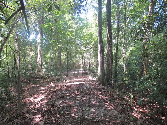 5th image of Old Highway 49 Lot Wp004