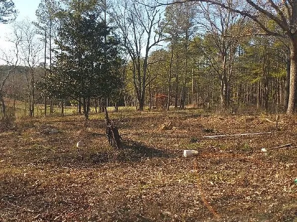 17 Black Rd, White, GA 30184