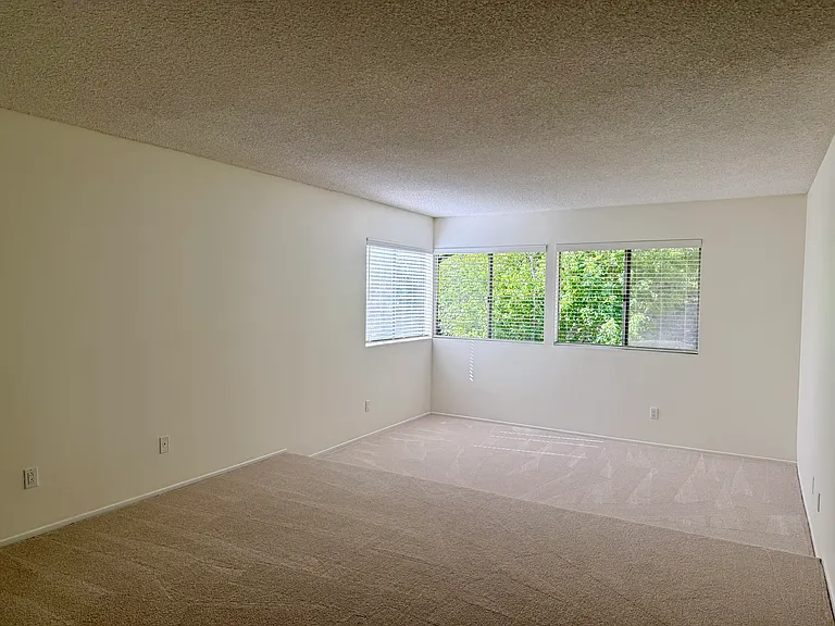 4356 Cartesian Cir — Photo 16