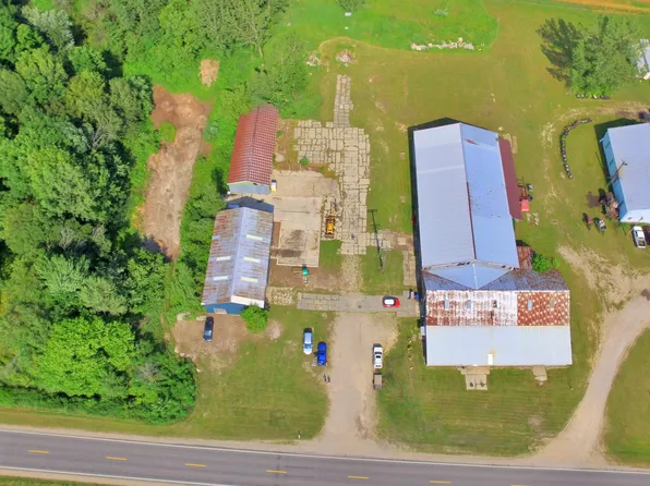 4818 N Wyman Rd, Edmore, MI 48829