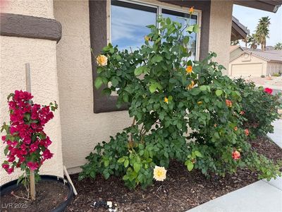 845 Holly Lake Way, Henderson, NV, 89002