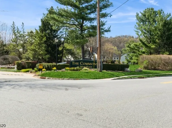 14 Pembroke Dr, Mendham Boro, NJ 07945