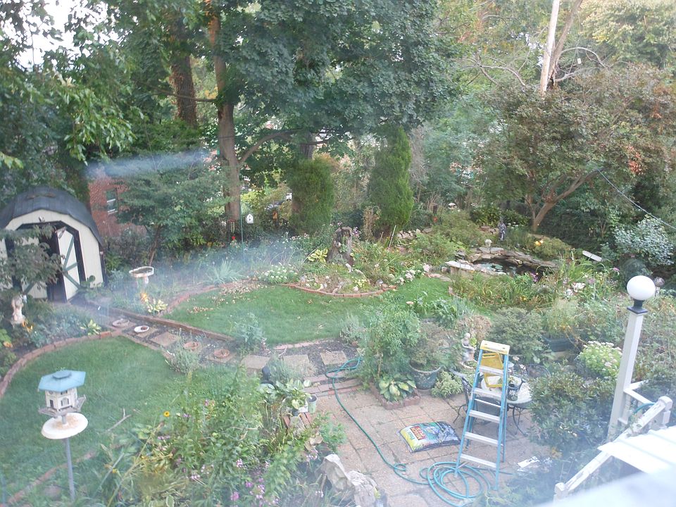 BACK YARD VIEW